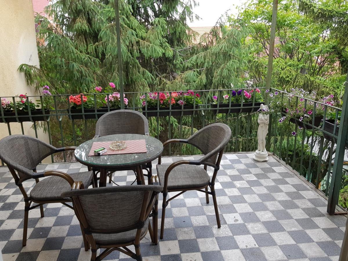 City Center Dream Apartment تيميشورا المظهر الخارجي الصورة