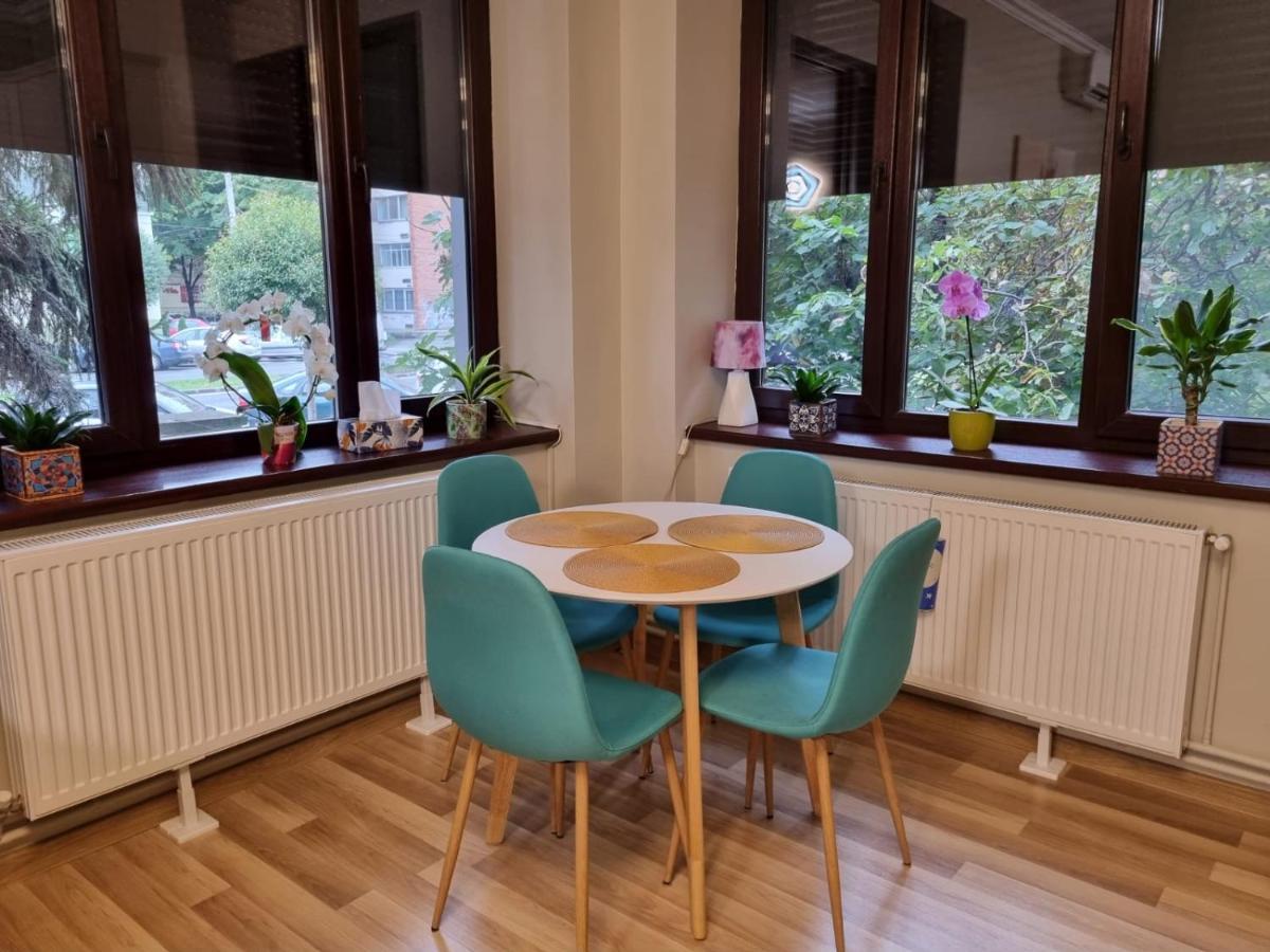 City Center Dream Apartment تيميشورا المظهر الخارجي الصورة