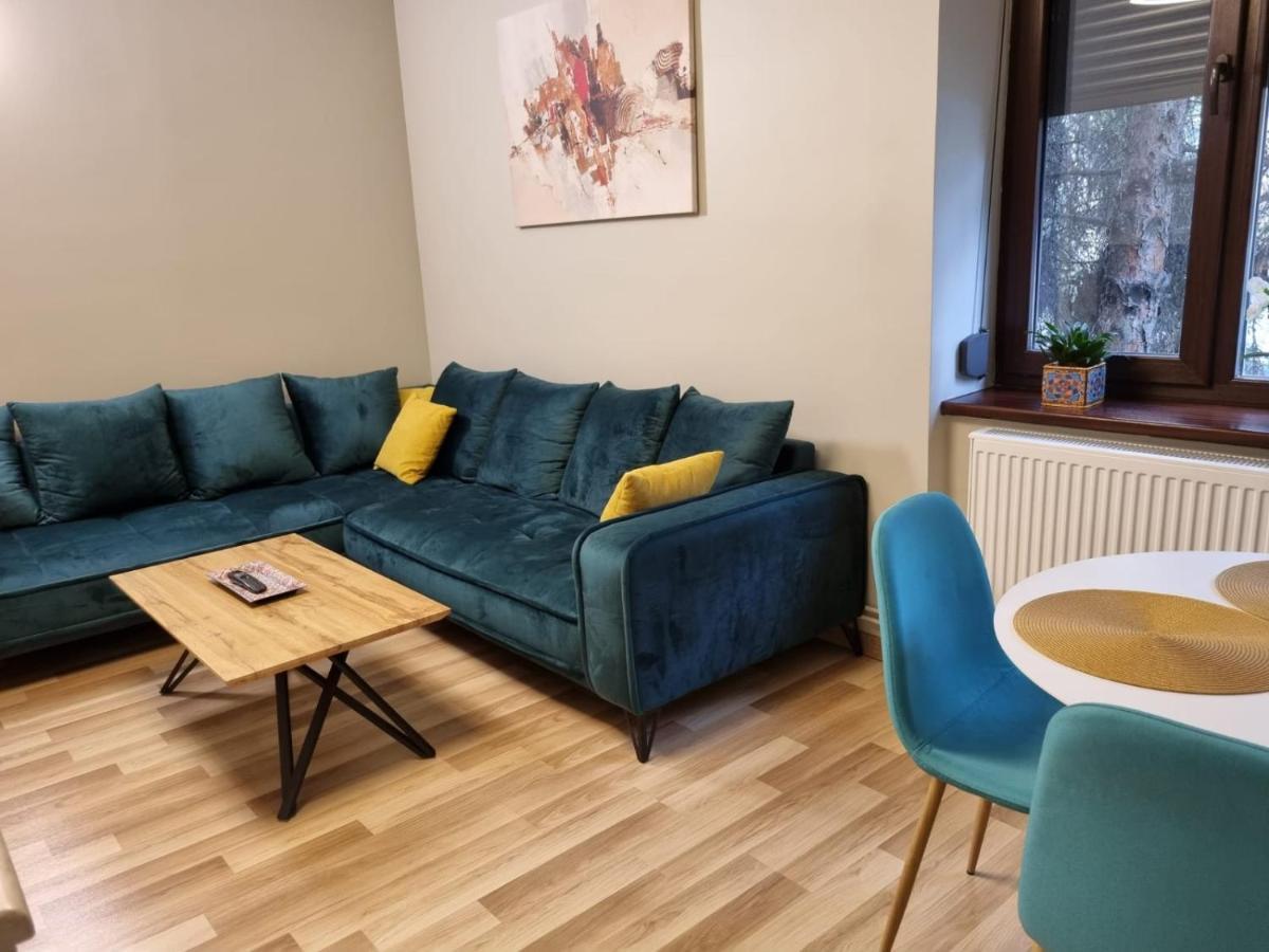 City Center Dream Apartment تيميشورا المظهر الخارجي الصورة