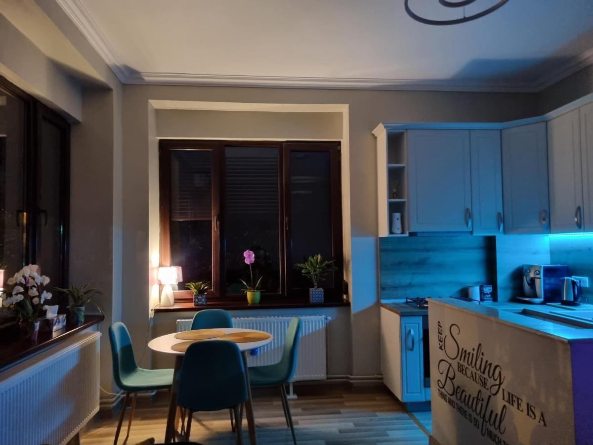 City Center Dream Apartment تيميشورا المظهر الخارجي الصورة