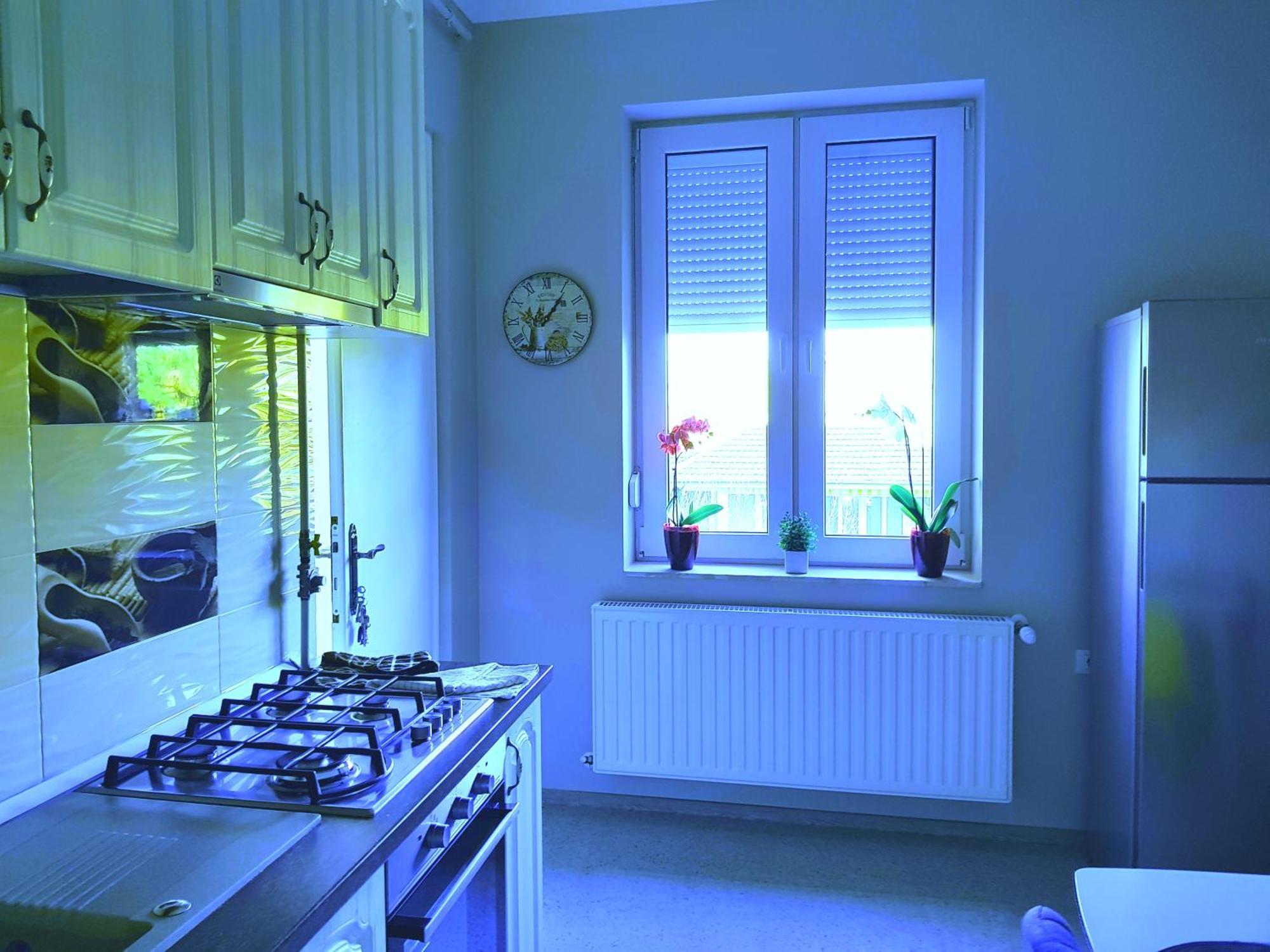City Center Dream Apartment تيميشورا المظهر الخارجي الصورة